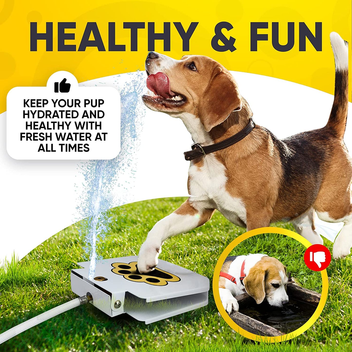 Dog Water Fountain - Pawmate™