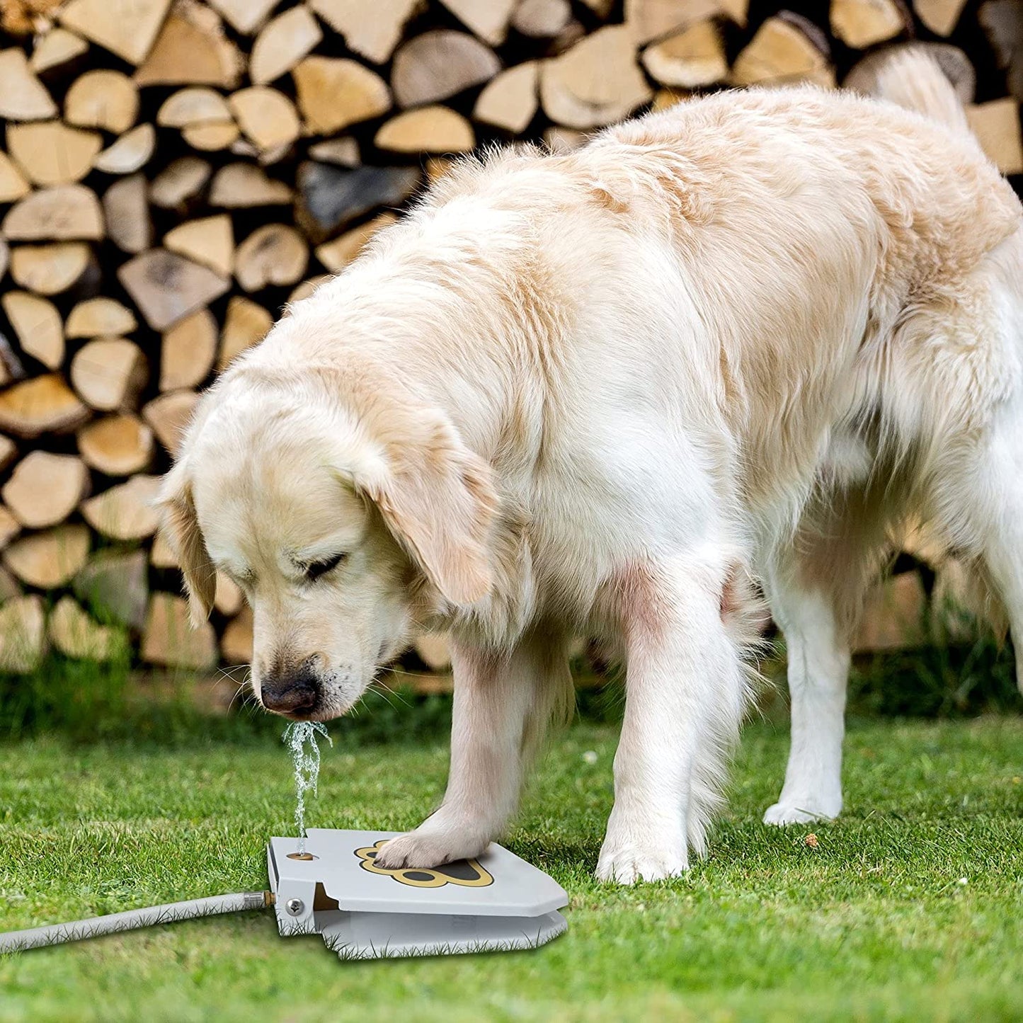 Dog Water Fountain - Pawmate™